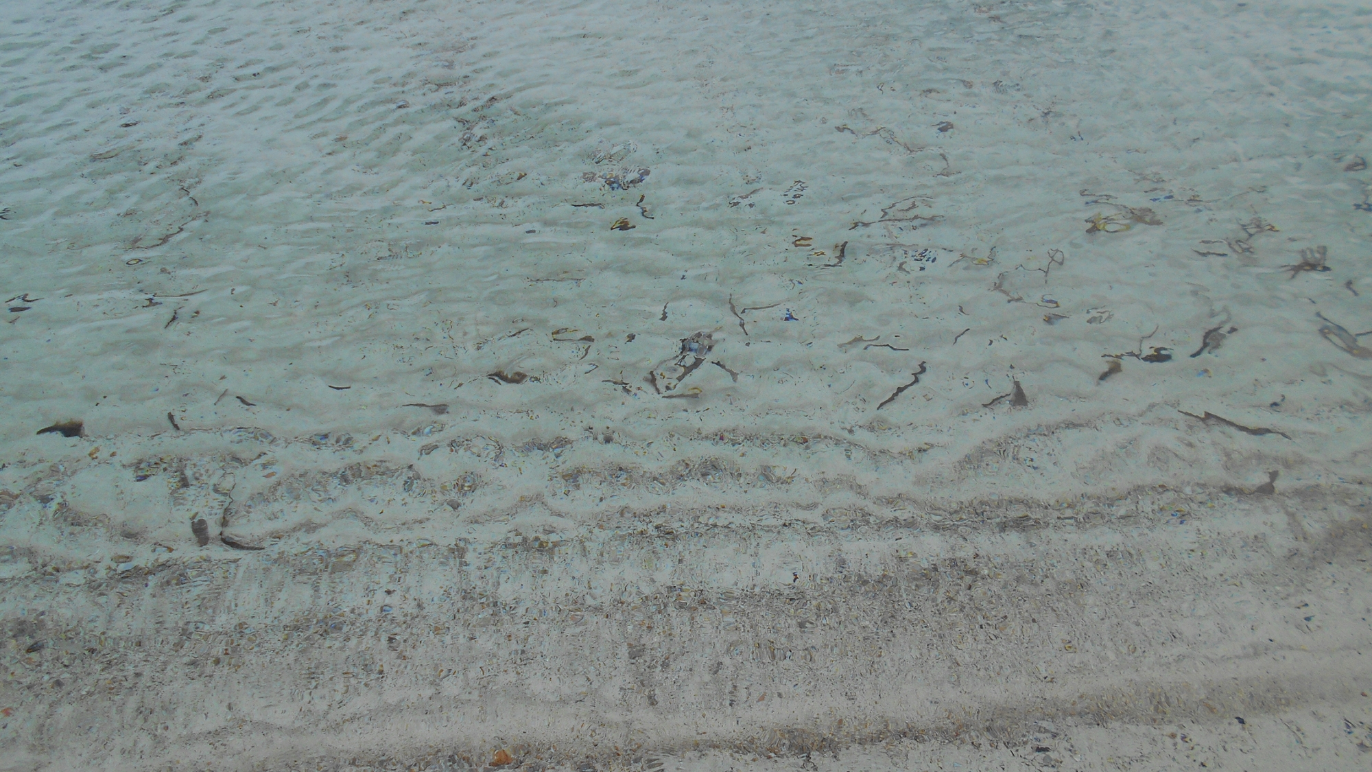 costa smeralda - olbia - cerdeña - playas de cerdeña - sardegna - cala del dottore