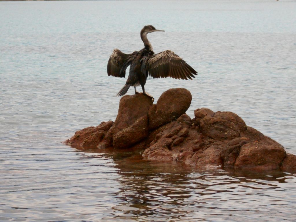 porto istana - sardegna - sardinia - costa smeralda - olbia