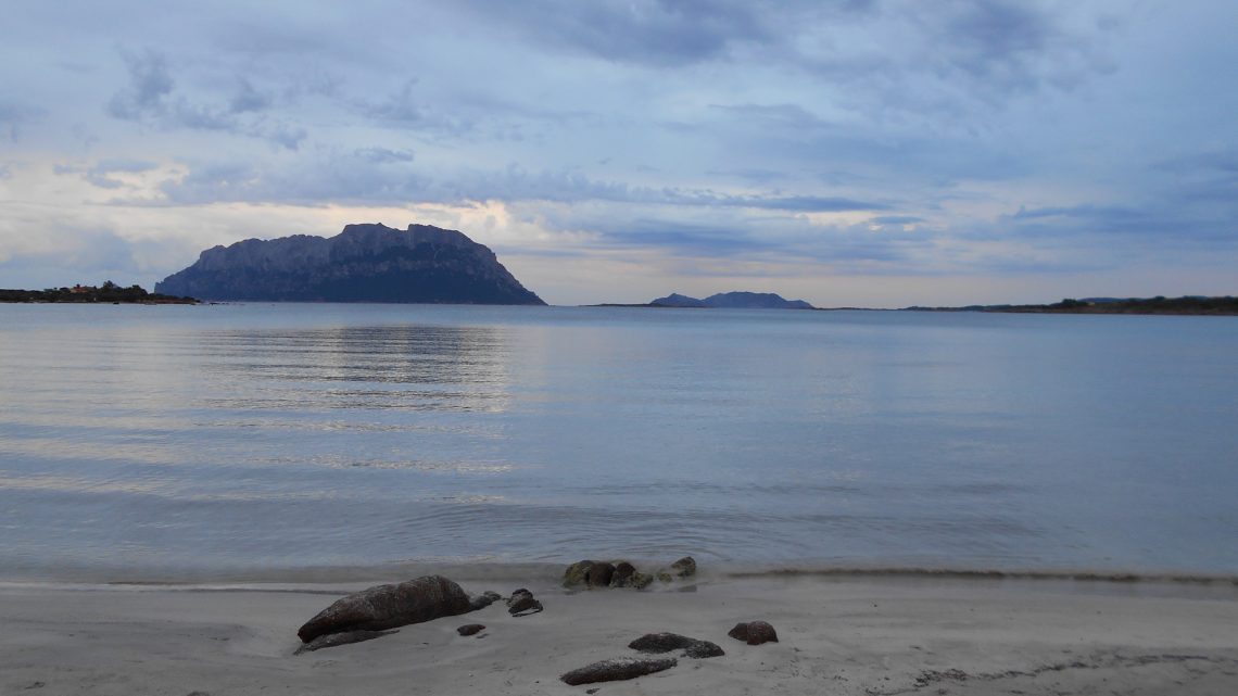 Murta Maria… 06-10-16 ❁ 07-10-16