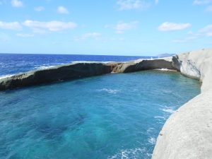 cane malu - sardegna - bosa